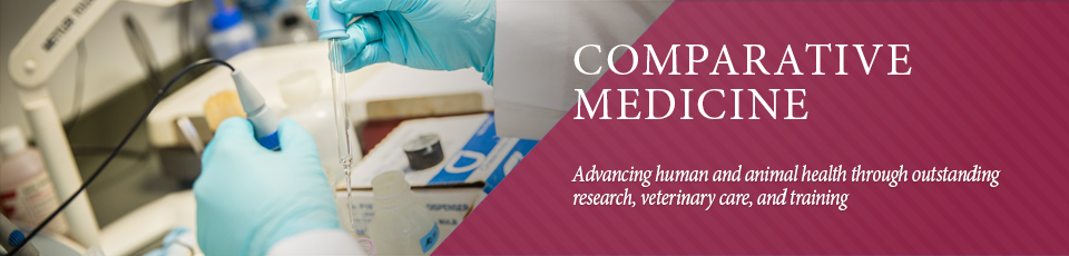 Advancing human and animal health through outstanding research, veterinary care, and training